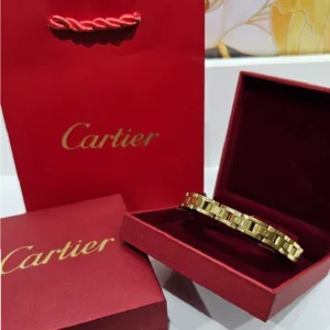 Gourmet homme acier Cartier vise